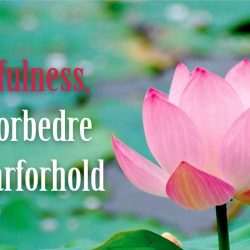 Mindfulness har stor betydning for parforholdet